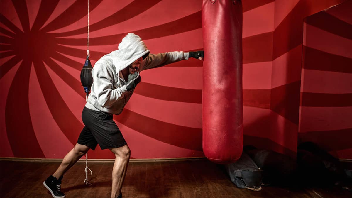 Salle de sport : équipement de boxe