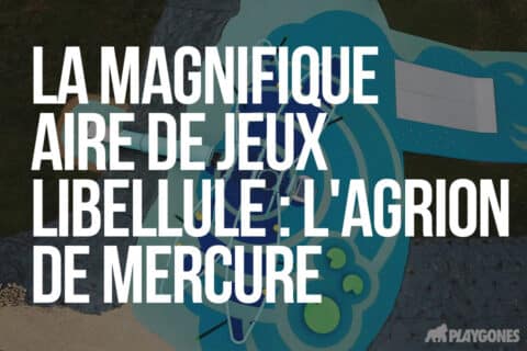 La magnifique aire de jeux Libellule : l'Agrion de Mercure