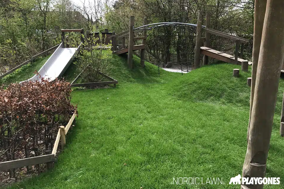 octobre-Nordic-Lawn