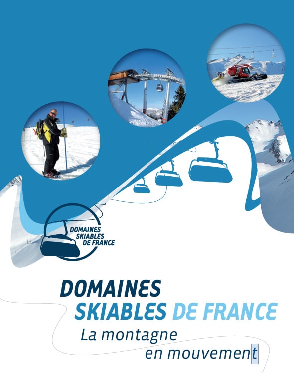 Screenshot logo-domaines-skiables-de-france
