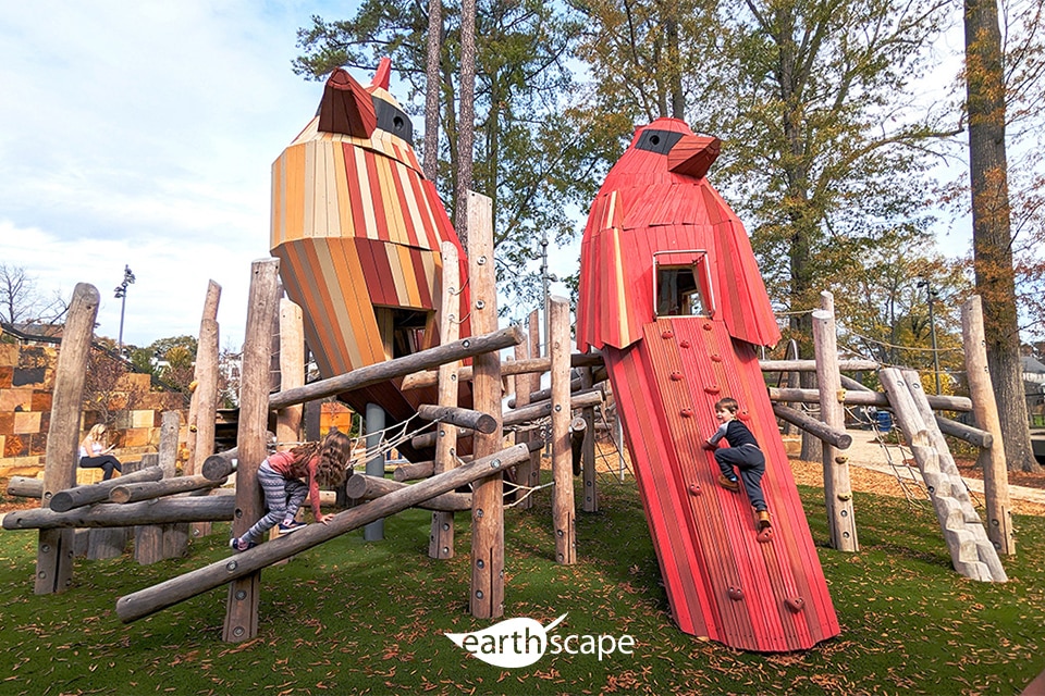 oiseaux-rouges-earthscape-1