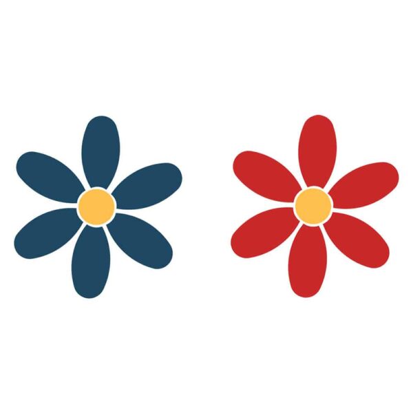 Set-Fleurs-couleurs-standards