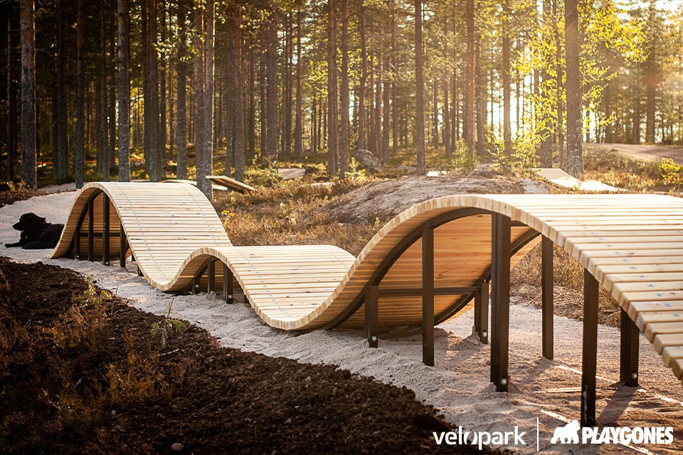 parcours-velo-foret-altitude