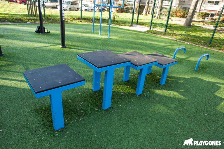 ontmagny street workout step 768x512