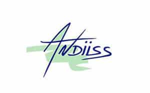 logo-andiiss