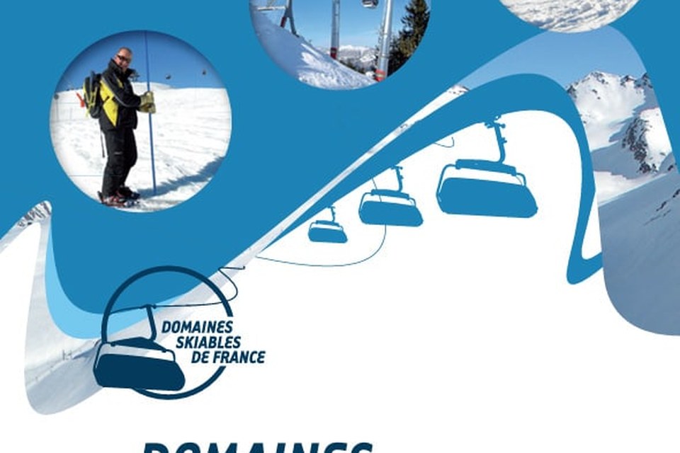 logo-domaines-skiables-de-france