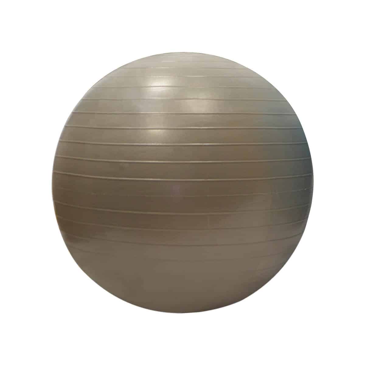 Gymball (55cm, Gris clair) - Playgones (vue 1) Gymball (55cm, Gris clair) - Playgones (vue 1)