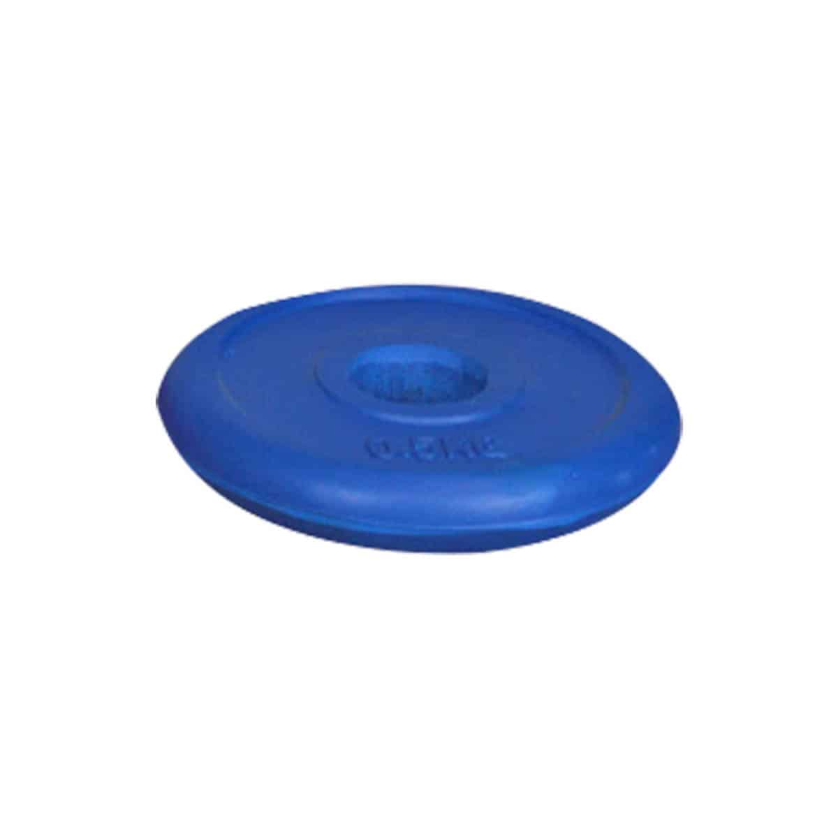 Poids 0,5 kg (Bleu) - Playgones (vue 1) Poids 0,5 kg (Bleu) - Playgones (vue 1)