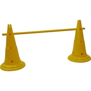 Kit multisauts hauteur 50 cm avec cônes et jalon