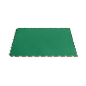 Tatami puzzle Entry
