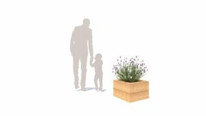 Jardinière (0,4 m de haut x 0,6 m x 0,6 m)