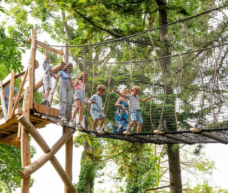 Passerelle de jeu dans les arbres