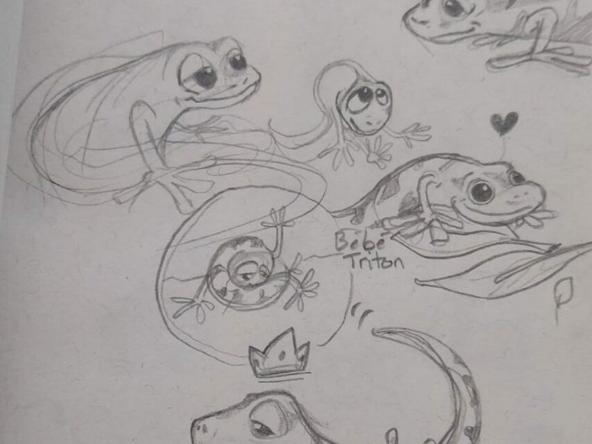 Esquisse au crayon d'un triton pour une aire de jeux sur-mesure