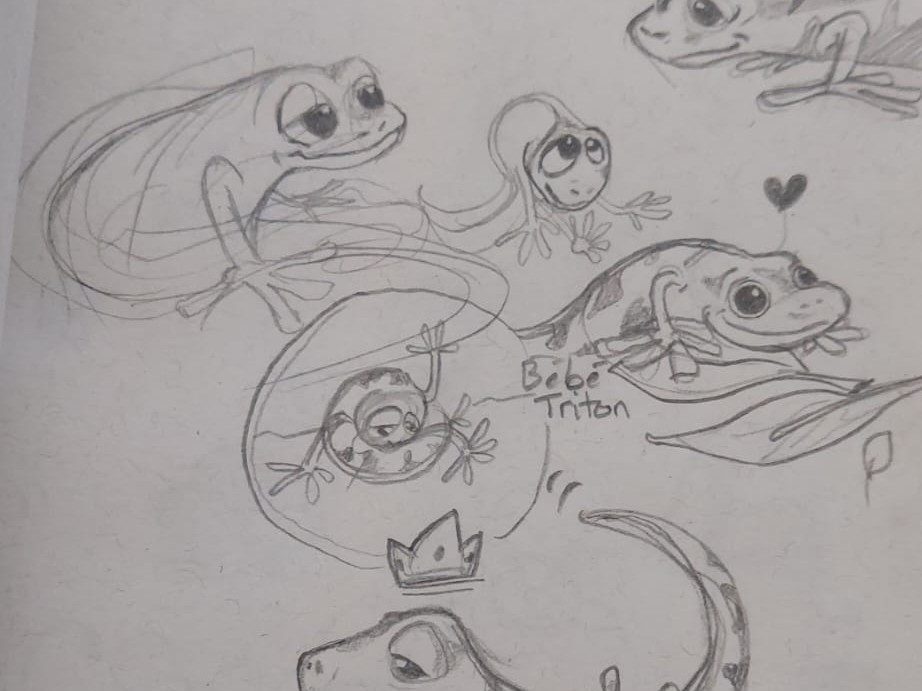 Esquisse au crayon du triton